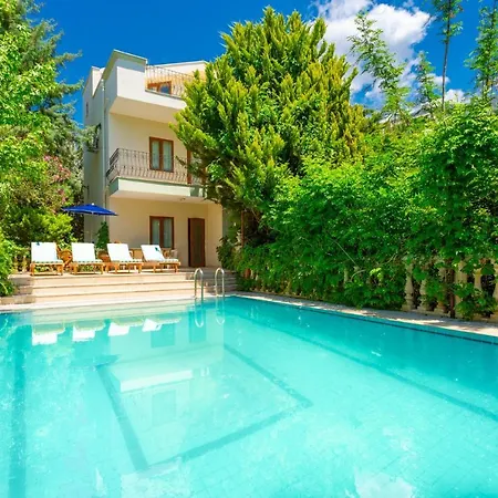 Sea View With Private Pool Helisonia Kalkan Id:403 Villa *